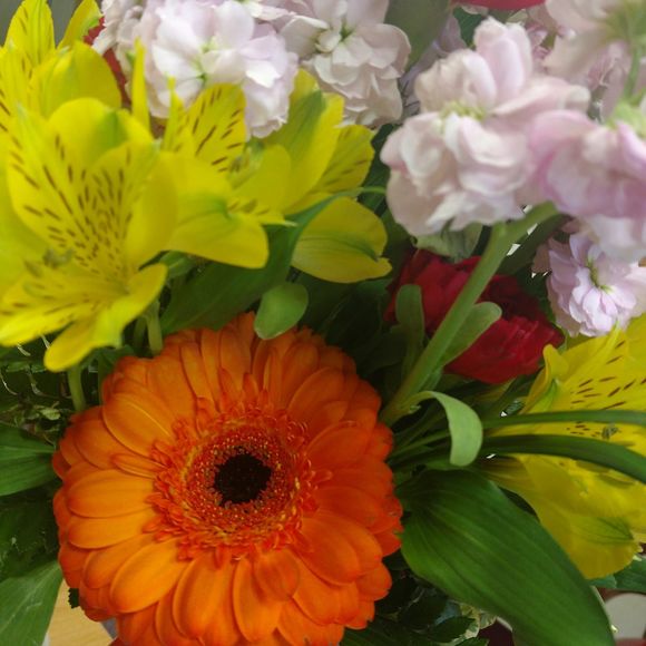 Meet your Posher, Karen - Picture 1 of 1